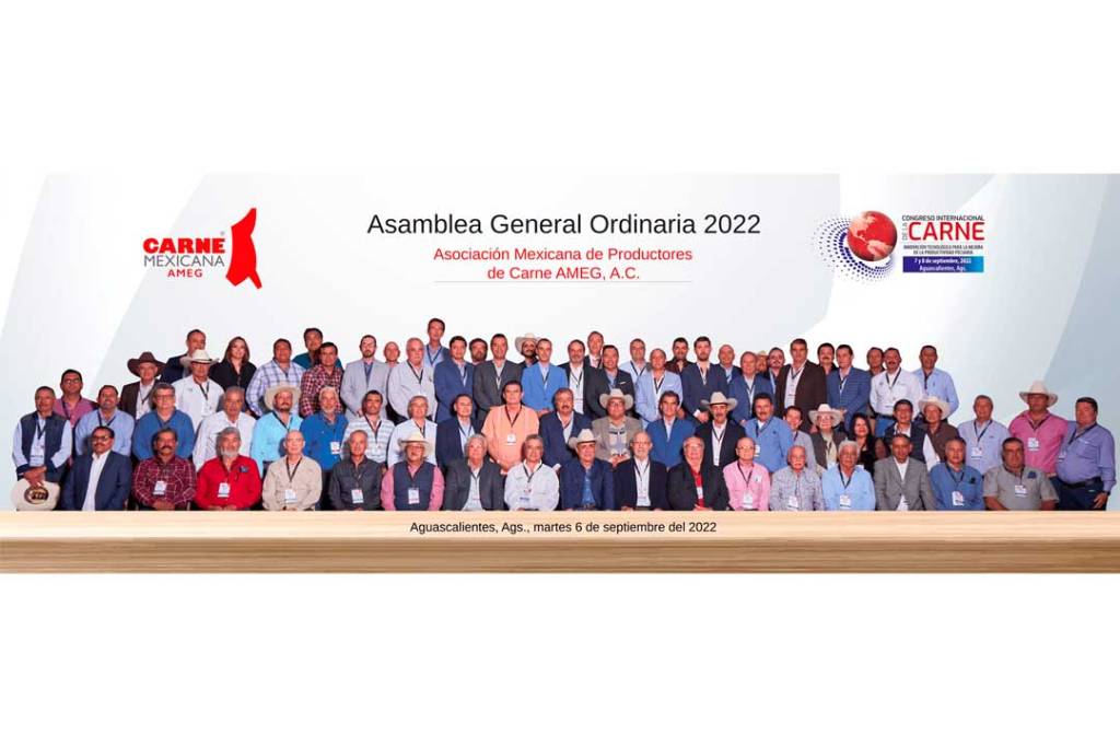 Asamblea General Ordinaria AMEG 2022