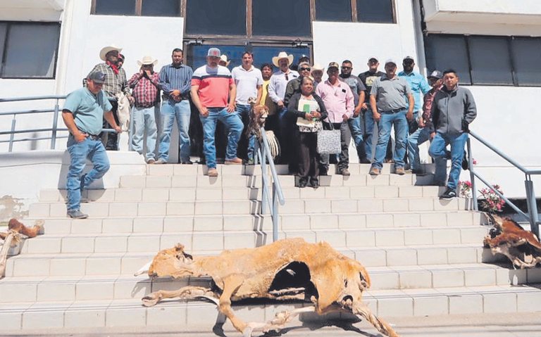 07/05/2024. El Sol de México: Ganaderos toman la Sader en Chihuahua; reclaman apoyo por la sequía